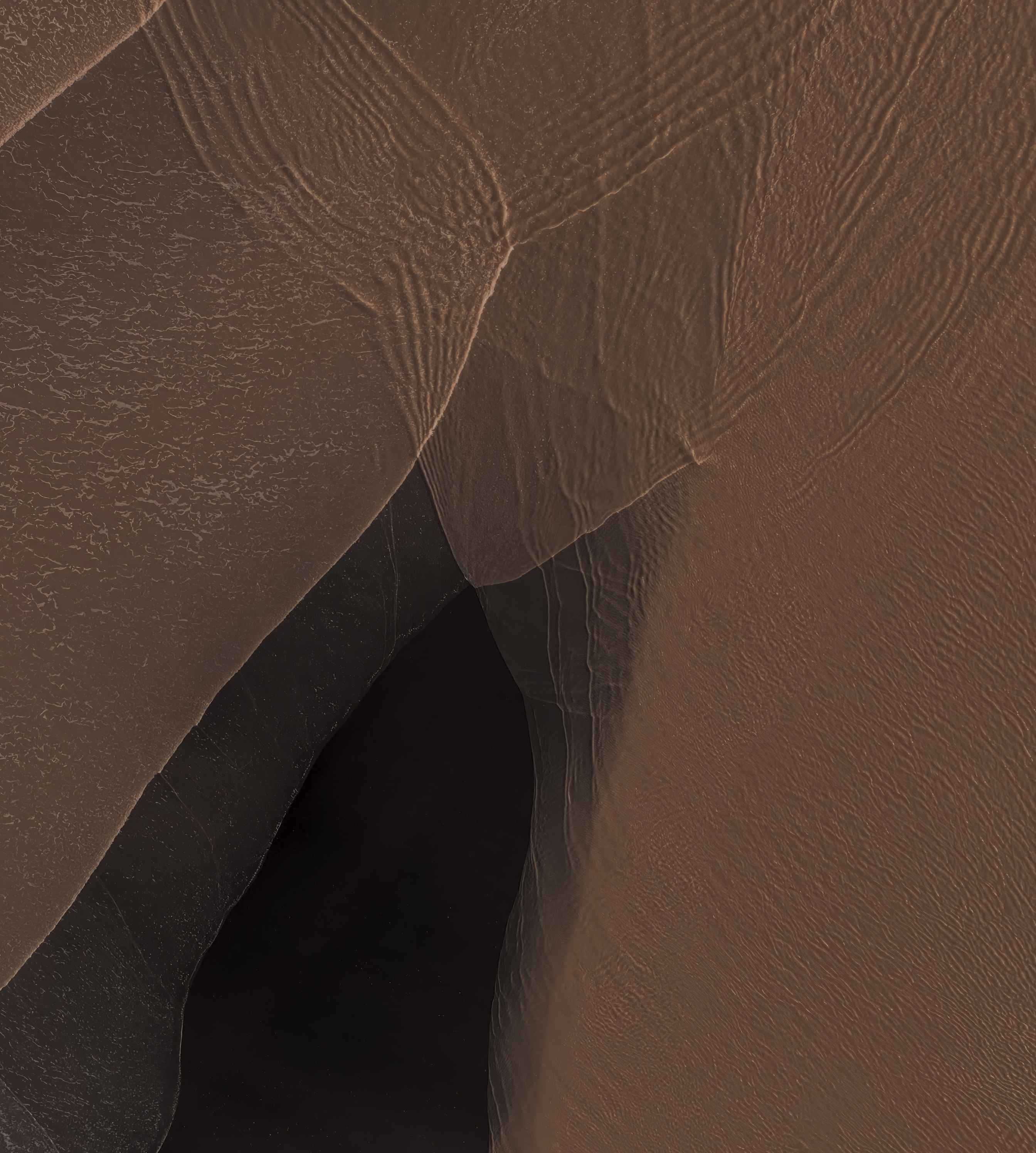 Pixel 11 Pro XL Dune Dark