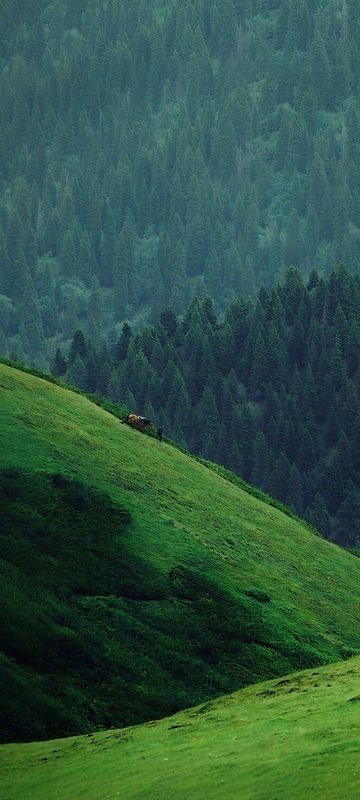 Xiaomi HyperOS 4 Wallpapers 13