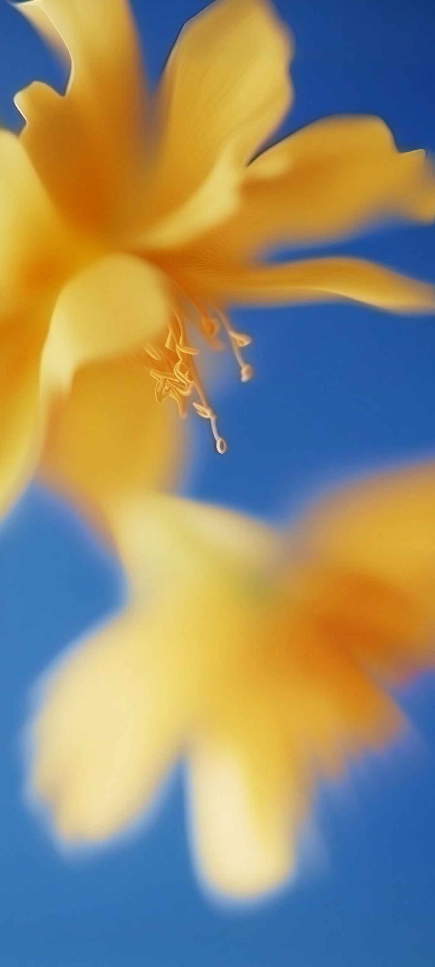 Xiaomi HyperOS 4 Wallpapers 14