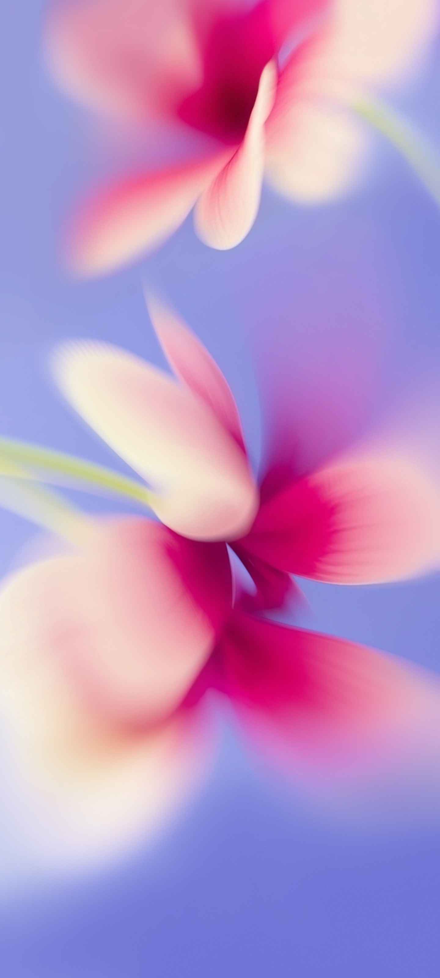 Xiaomi HyperOS 4 Wallpapers 15