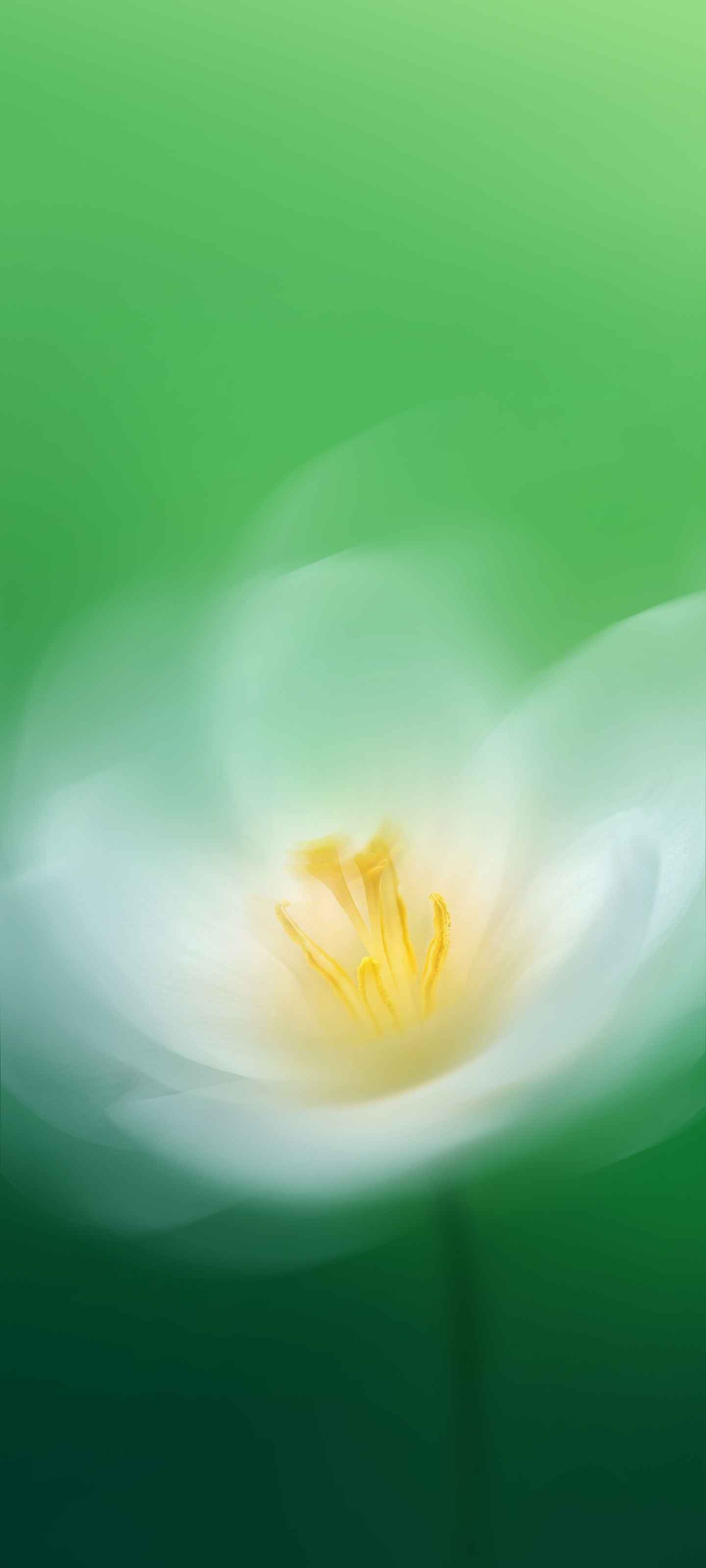 Xiaomi HyperOS 4 Wallpapers 16