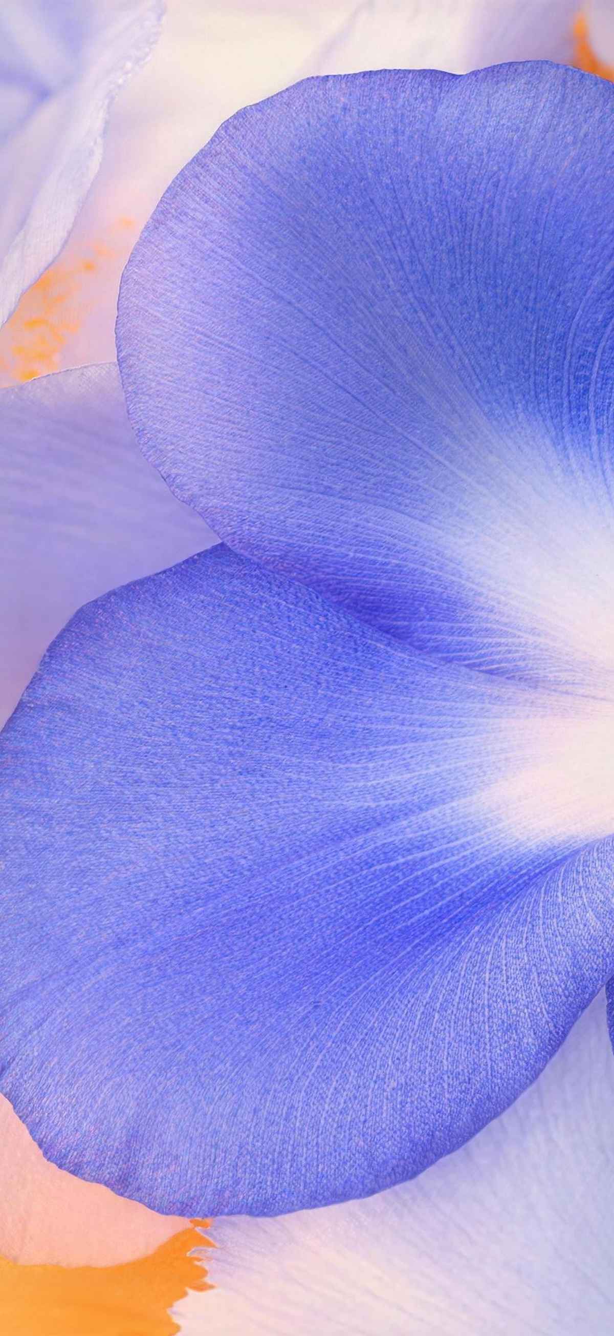 Xiaomi HyperOS 4 Wallpapers 18