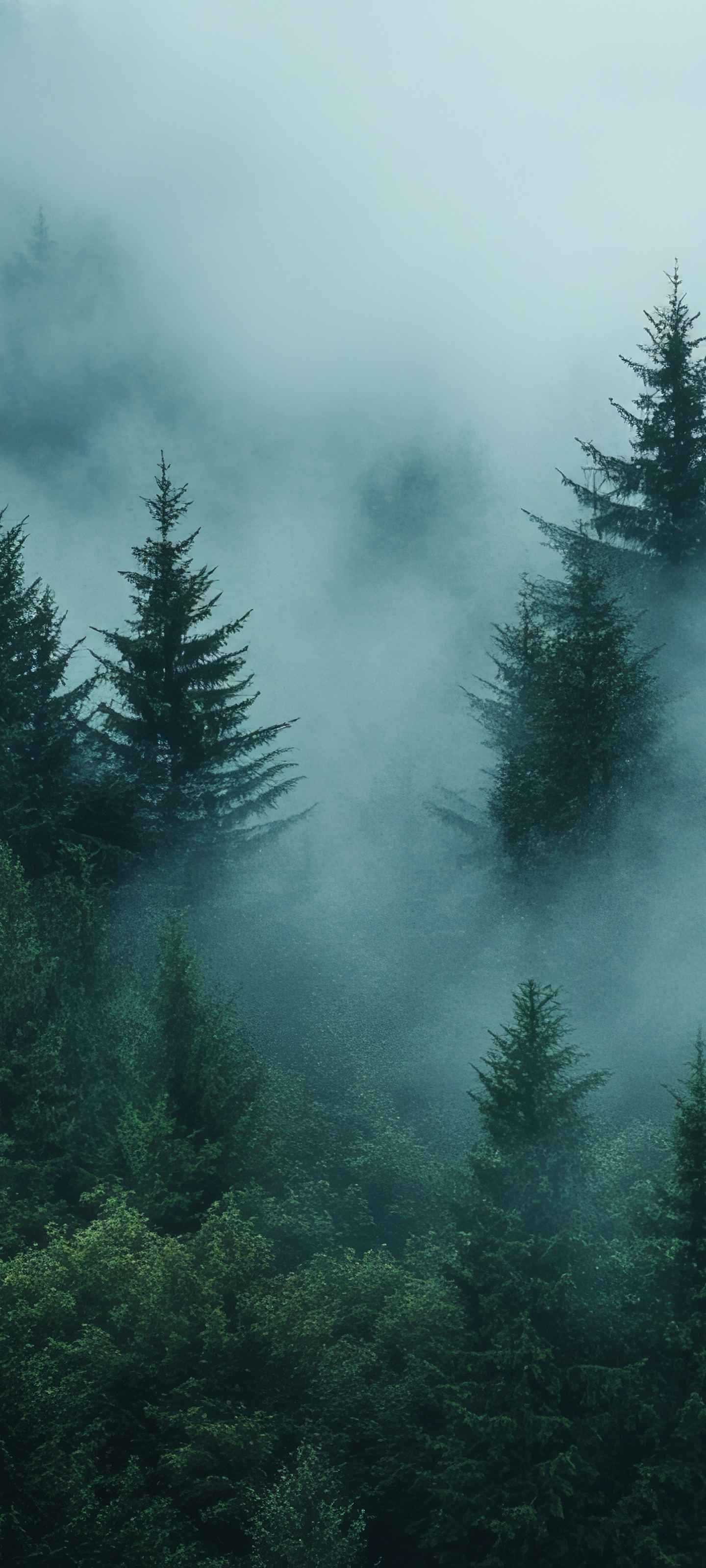 Xiaomi HyperOS 4 Wallpapers 9